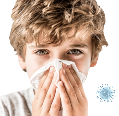 Air Ducts Cleaners Shenandoah TX